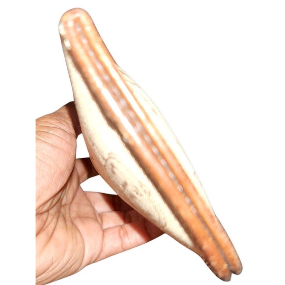 Dooney & Bourke Tan Signature DB Logo Canvas Eyeglass Case Holder VTG - Picture 3 of 4